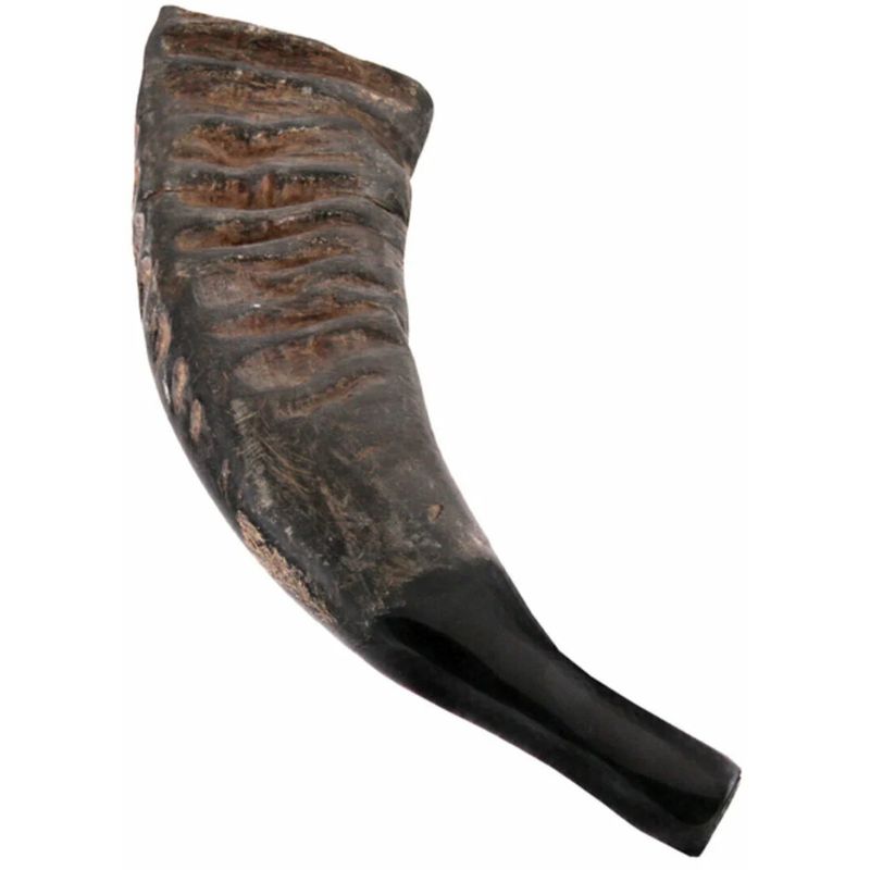 Bøffelhorn Tuwa 43cm
