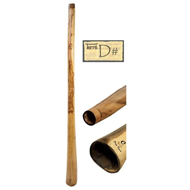 Hovedbilde Didgeridoo Proline eukalyptus D#