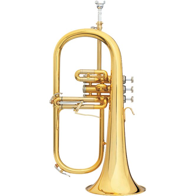 Hovedbilde B&S 3146 Challenger II Brochon Flygelhorn, gull-lakkert